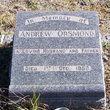 O - Surnames :: Vanne - O