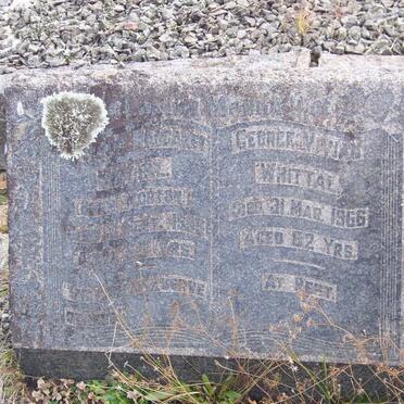 WHITTAL George Vivian -1966  &amp; Margaret MORTON -1950