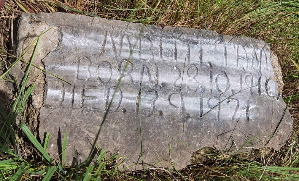 TANI Aabuti 1910-1971