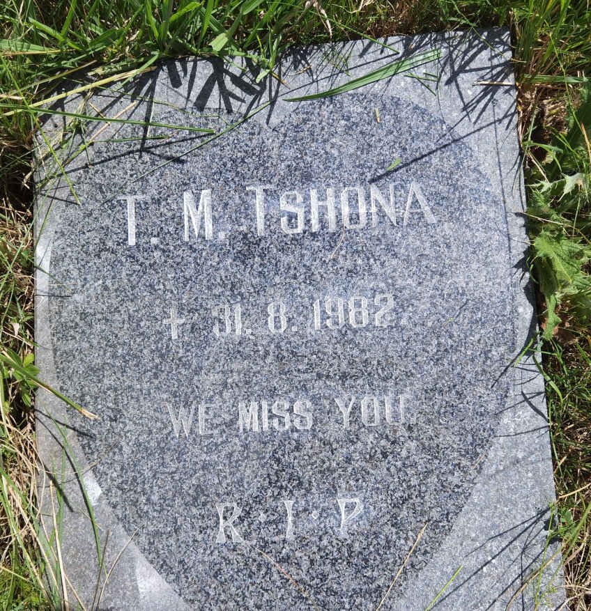 TSHONA T.M. -1982