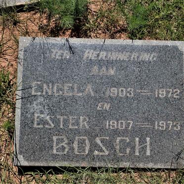 BOSCH Engela 1903-1972 :: BOSCH Ester 1907-1973