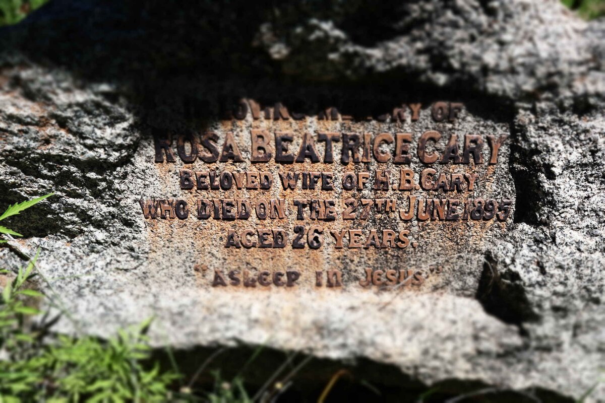 CARY Rosa Beatrice -1895