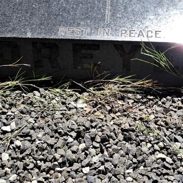 DREYER Rudolf Crooks 1907-1973