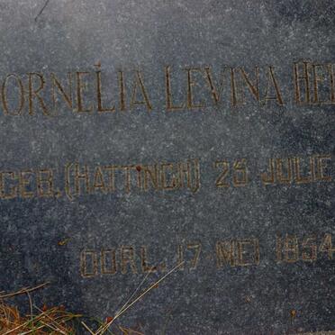 HEERDEN Willem Jacobus, van 1863-1946 &amp; Cornelia Levina Helena HATTINGH 1868-1954