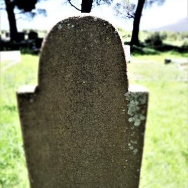 NEL Anna Johanna nee PIETERSEN 1876-19??