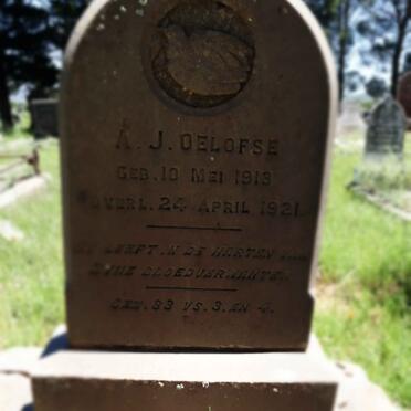 OELOFSE A.J. 1913-1921