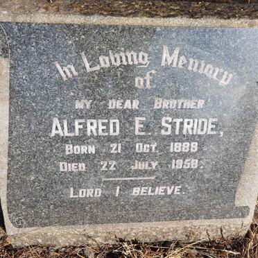 STRIDE Alfred E. 1888-1958