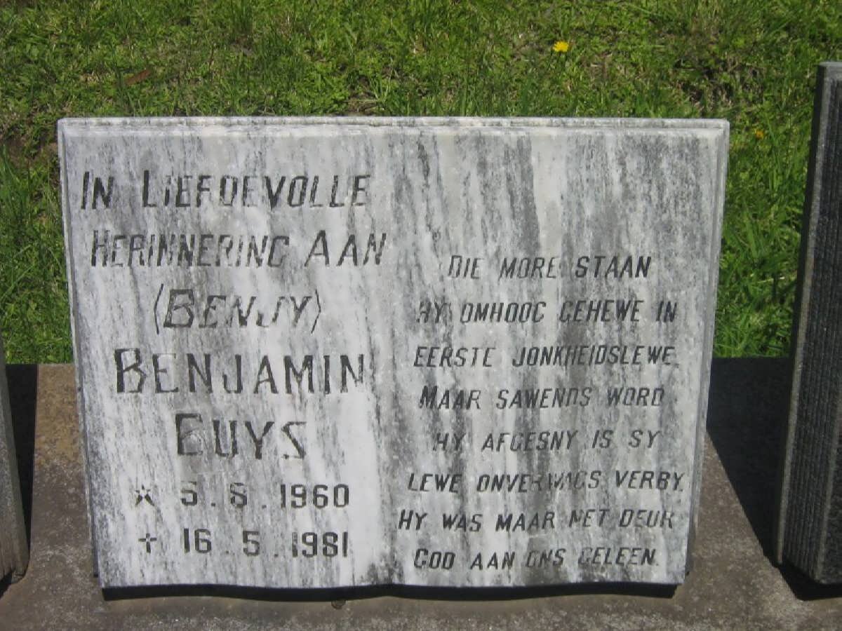 BUYS Benjamin 1960-1981