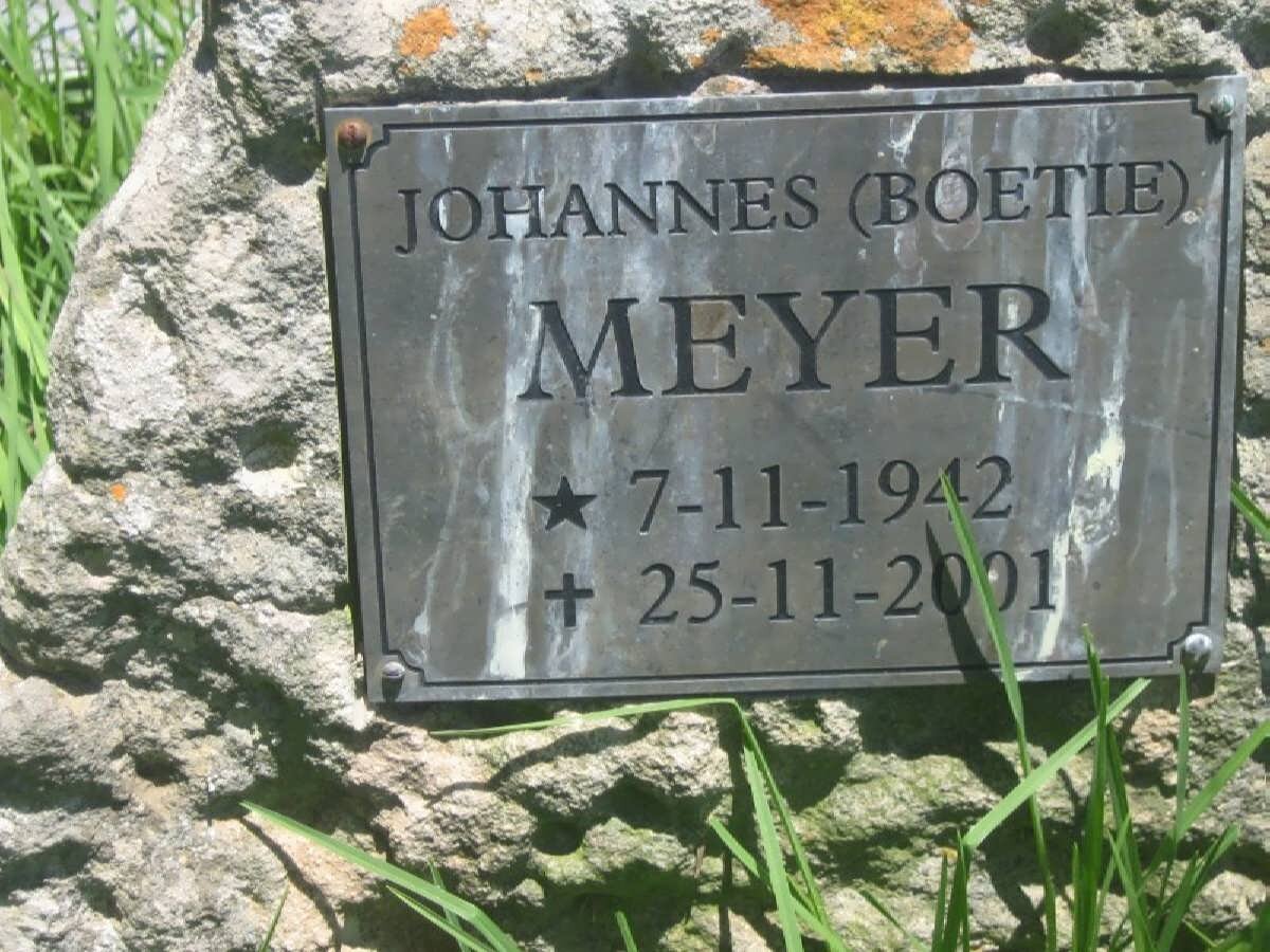 MEYER Johannes 1942-2001