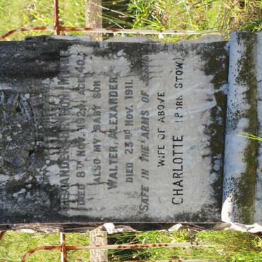 MURIE Alexander Bryson -1924 &amp; Charlotte STOW :: MURIE Walter Alexander -1911