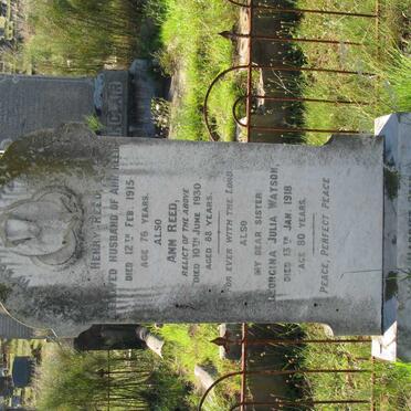 REED Henry -1915 &amp; Ann -1930 :: WATSON Georgina Julia -1918