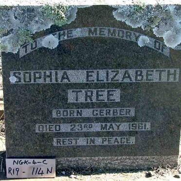 TREE Sophia Elizabeth nee GERBER - 1961