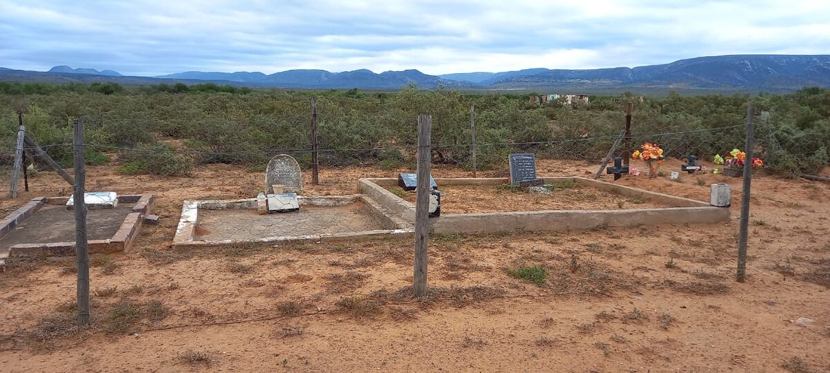 1. Oorsig / Overview