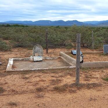 1. Oorsig / Overview