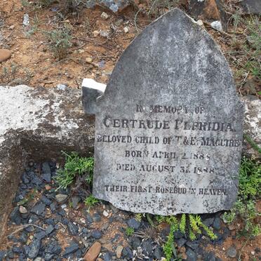 MAGUIRE Gertrude Elfridia 1888-1888