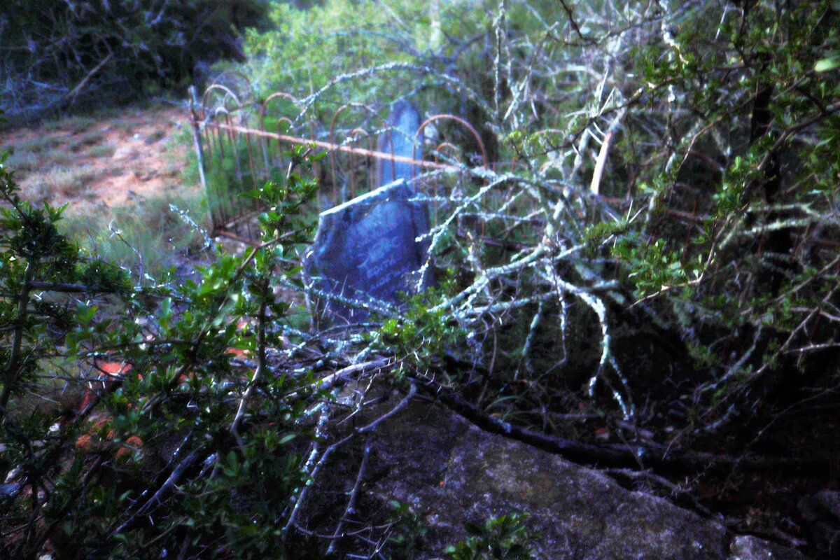 3. Overview of little Edith's grave