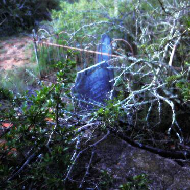 Eastern Cape, UITENHAGE district, Klein Winterhoek Mountains, De Wolvefontein, Wolwefontein_1, farm cemetery