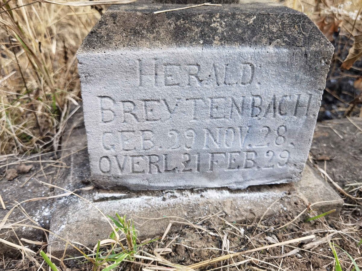 BREYTENBACH Herald 1928-1929