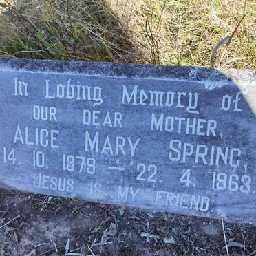 SPRING Alice Mary 1879-1963