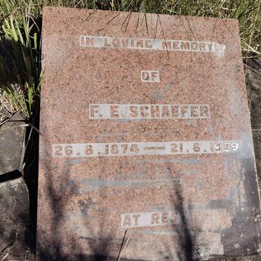 SCHAEFER F.E. 1874-1939