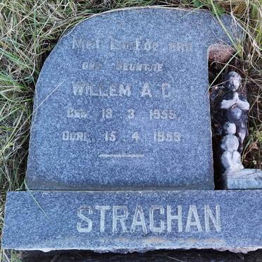 STRACHAN Willem A.C. 1959-1959