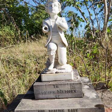 TAYLOR Douglas F. 1911-1912