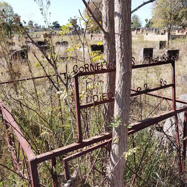 VALIBO? Cornelius -1?80