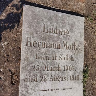 MOTHS Ludwig Hermann 1907-1910