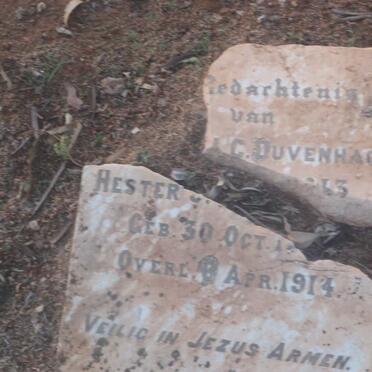DUVENHAGE Hester ?.C. 1913-1914