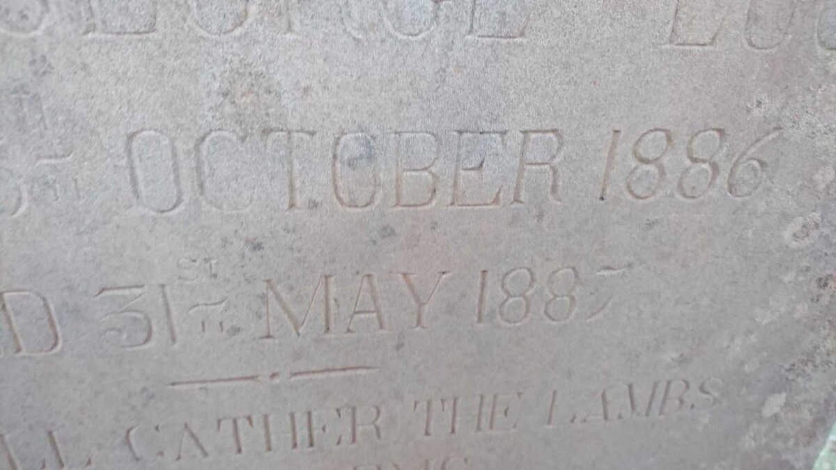 LOCKE Robert George 1886-1887