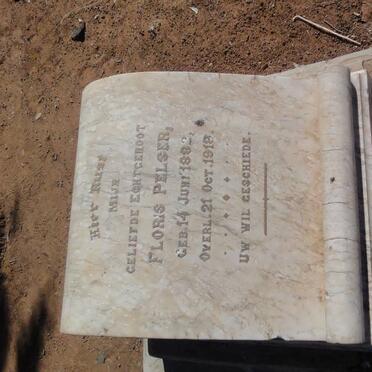 PELSER Floris 1882-1918