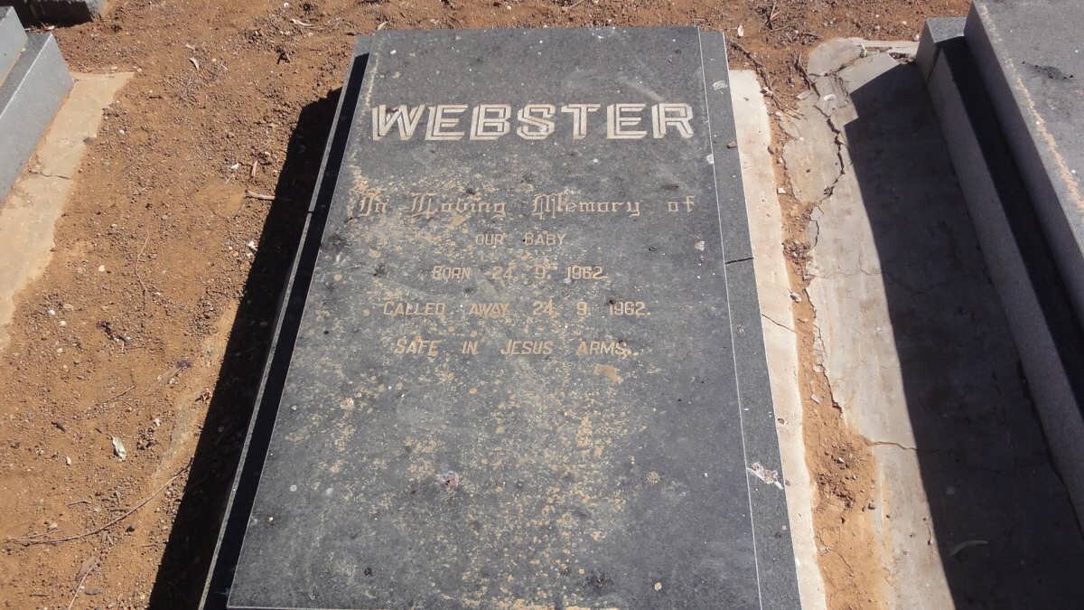 WEBSTER Baby 1962-1962