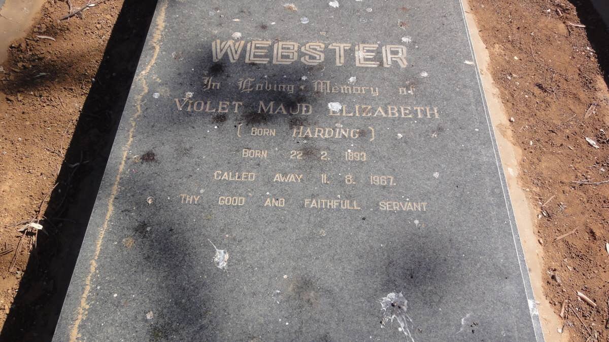 WEBSTER Violet Maud Elizabeth nee HARDING 1893-1967