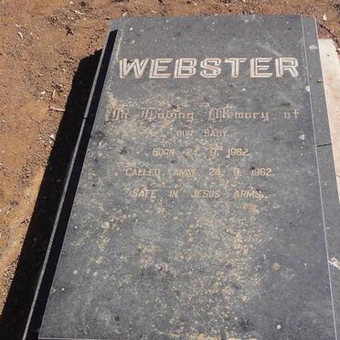 WEBSTER Baby 1962-1962