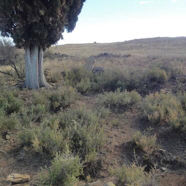 2. Overview / Oorsig