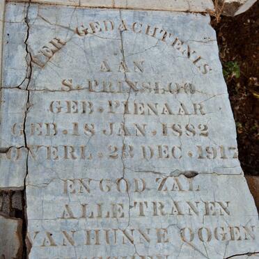 PRINSLOO S. nee PIENAAR 1882-1917