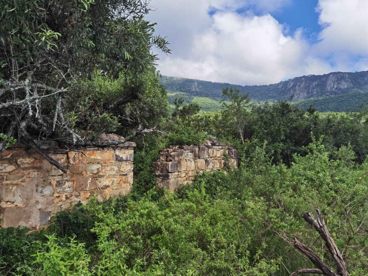 1. Overview / Oorsig