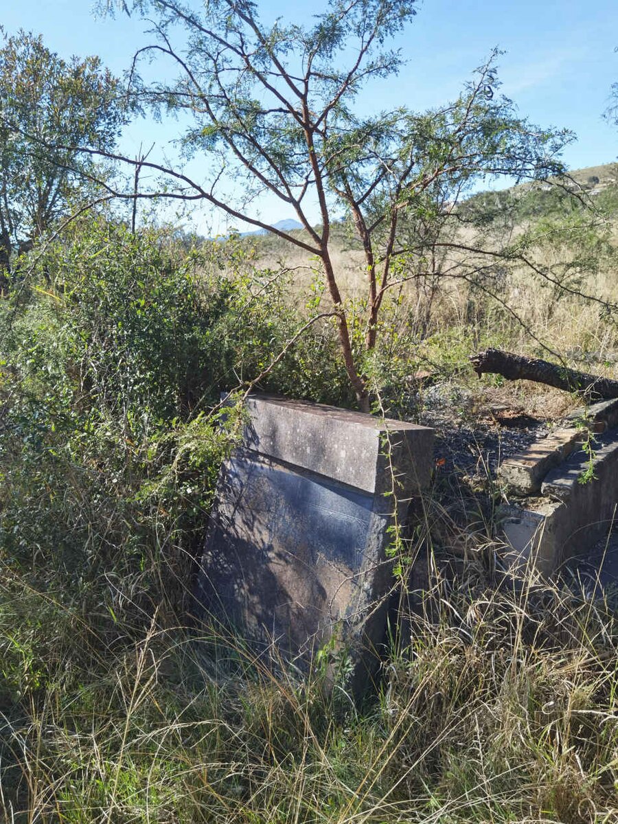 6. Overview / Oorsig