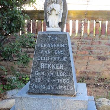 Eastern Cape, WILLOWMORE district, Baviaanskloof, Cedar Falls