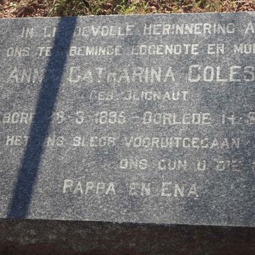 Eastern Cape, WILLOWMORE district, Baviaanskloof, De Eenzaamheid 225_3, Coleske farm cemetery