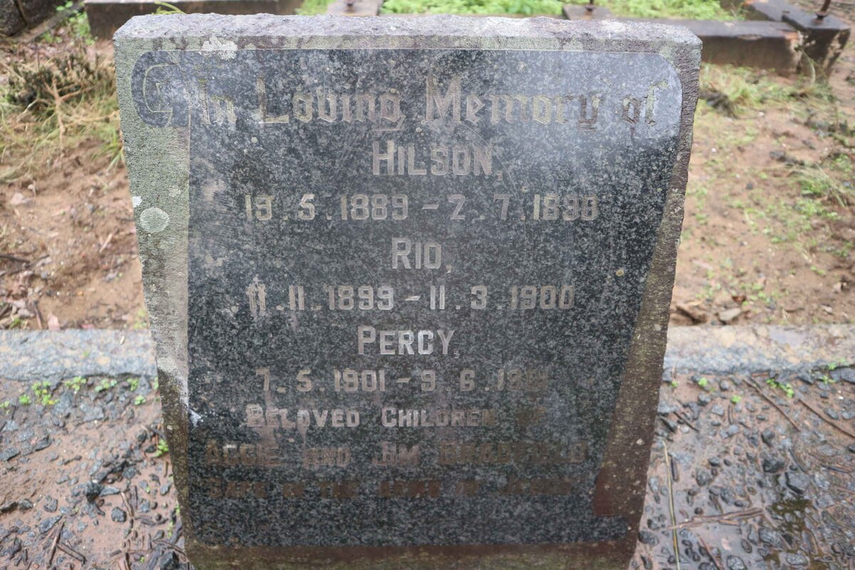 BRADFIELD Hilson 1889-1898 :: BRADFIELD Rio 1899-1900 :: BRADFIELD Percy 1901-1901