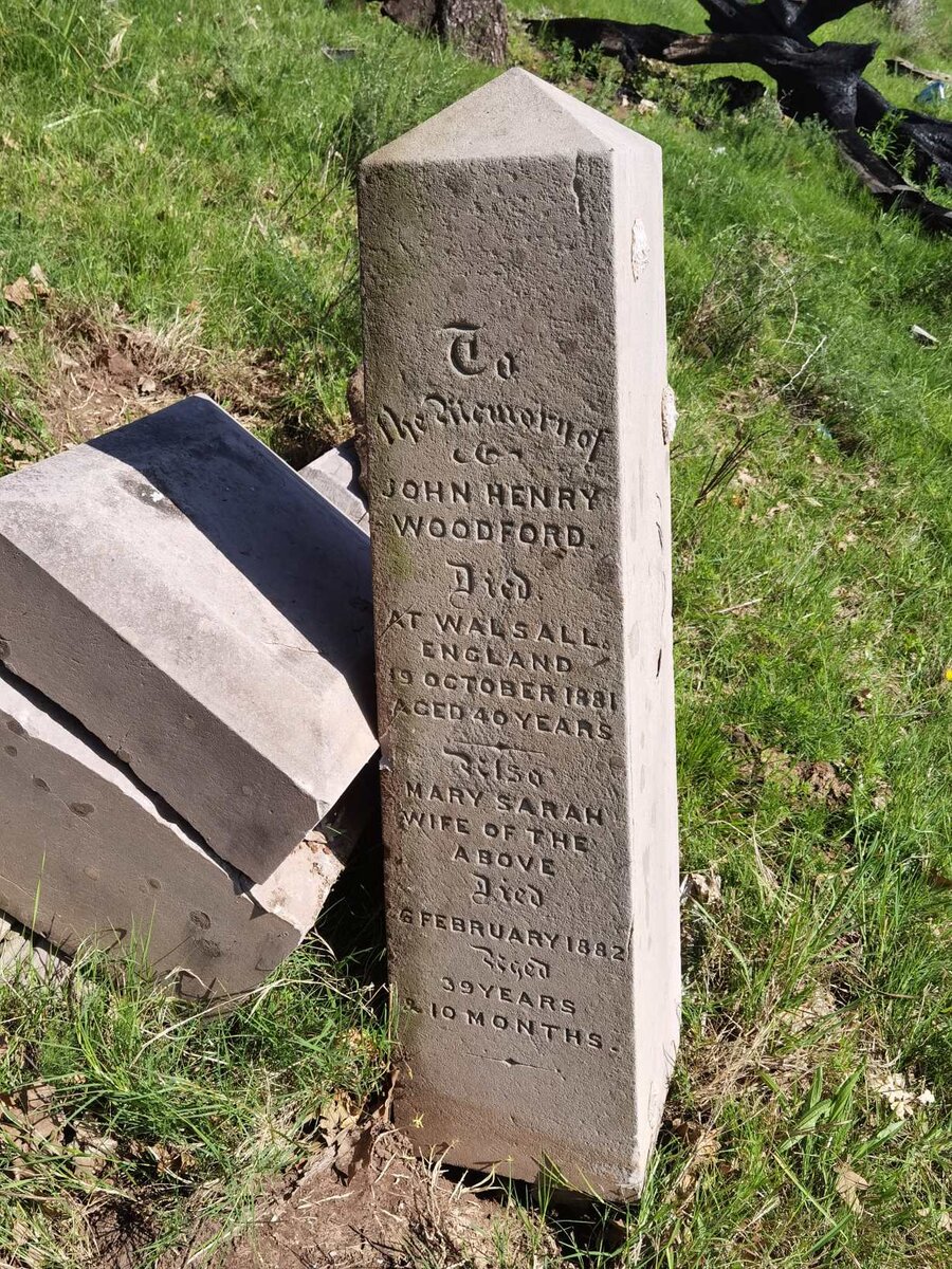 WOODFORD John Henry -1881 &amp; Mary Sarah -1882 