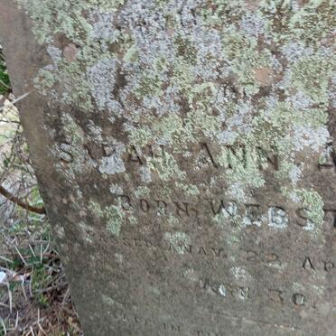 ARNOLD Sarah Ann nee WEBSTER -1889