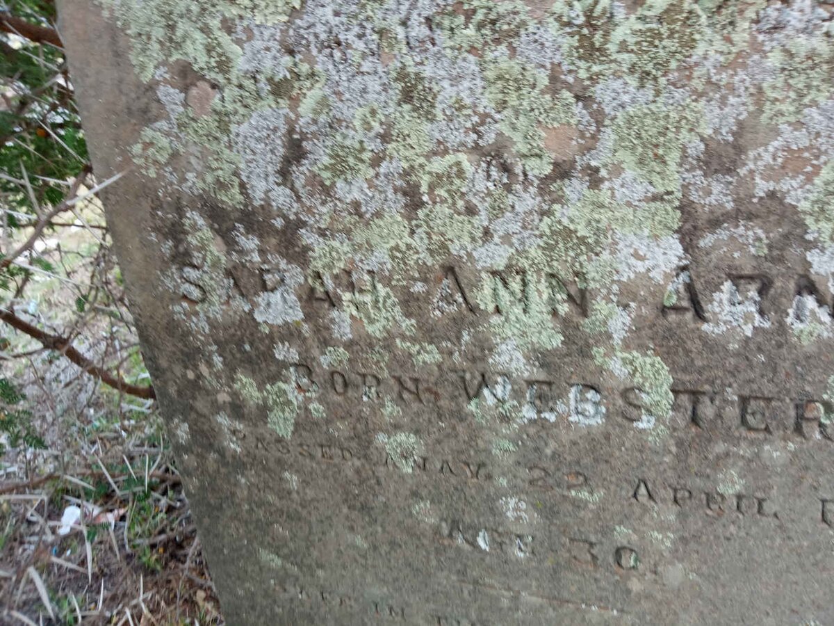 ARNOLD Sarah Ann nee WEBSTER -1889