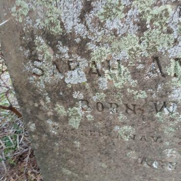 ARNOLD Sarah Ann nee WEBSTER -1889