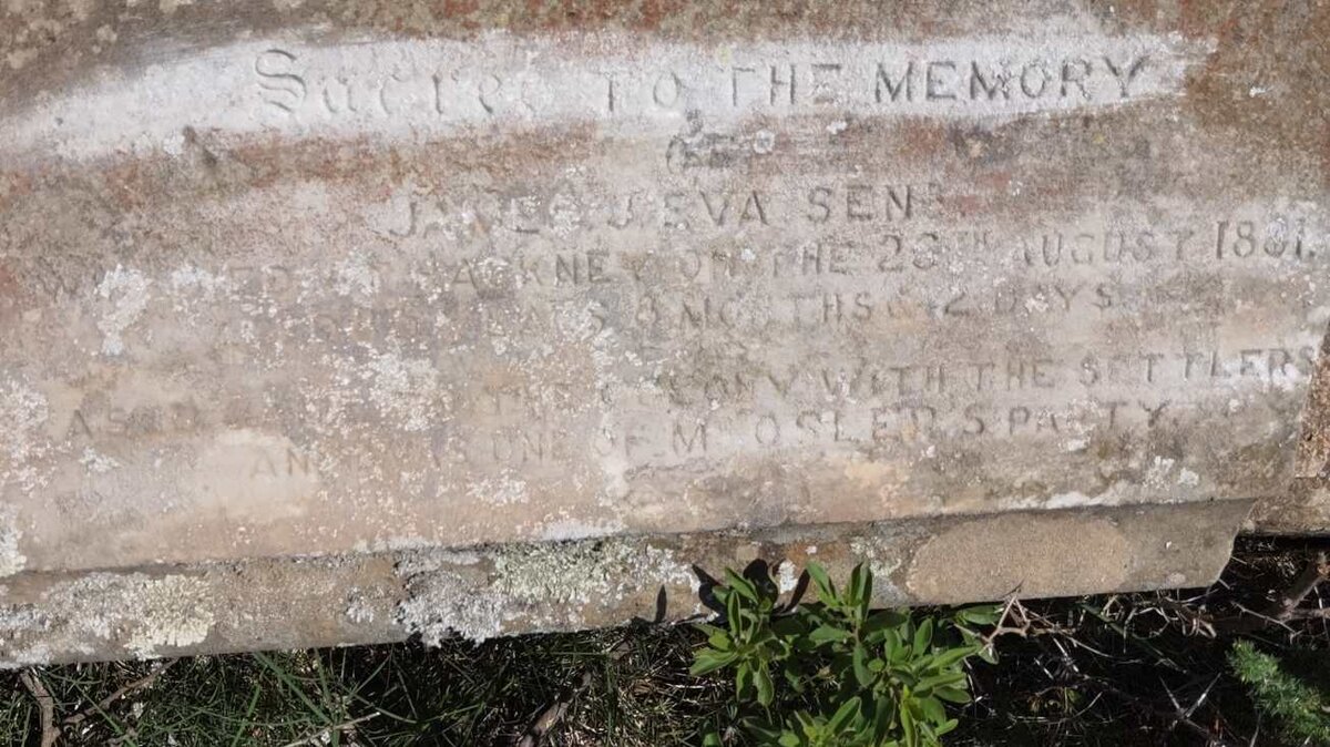 EVA James J. -1881 &amp; Elizabeth -1874