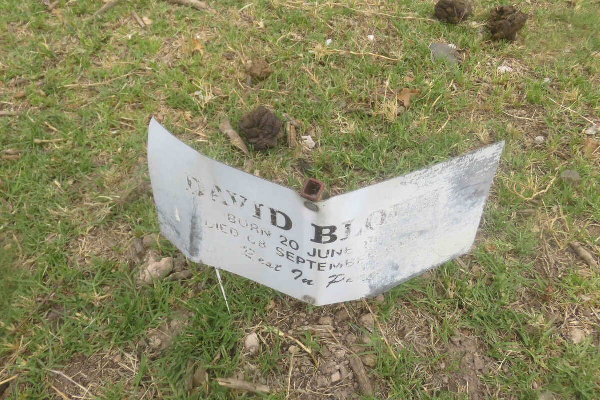 BLOEM David 1932-1998