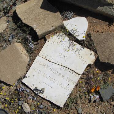 HALVEY Ivy Irena 1896-1903