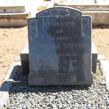 STRYDOM Gertruida nee TERBLANCHE 1880-1919