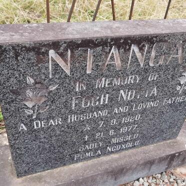 NTANGA Foch Notta 1920-1977